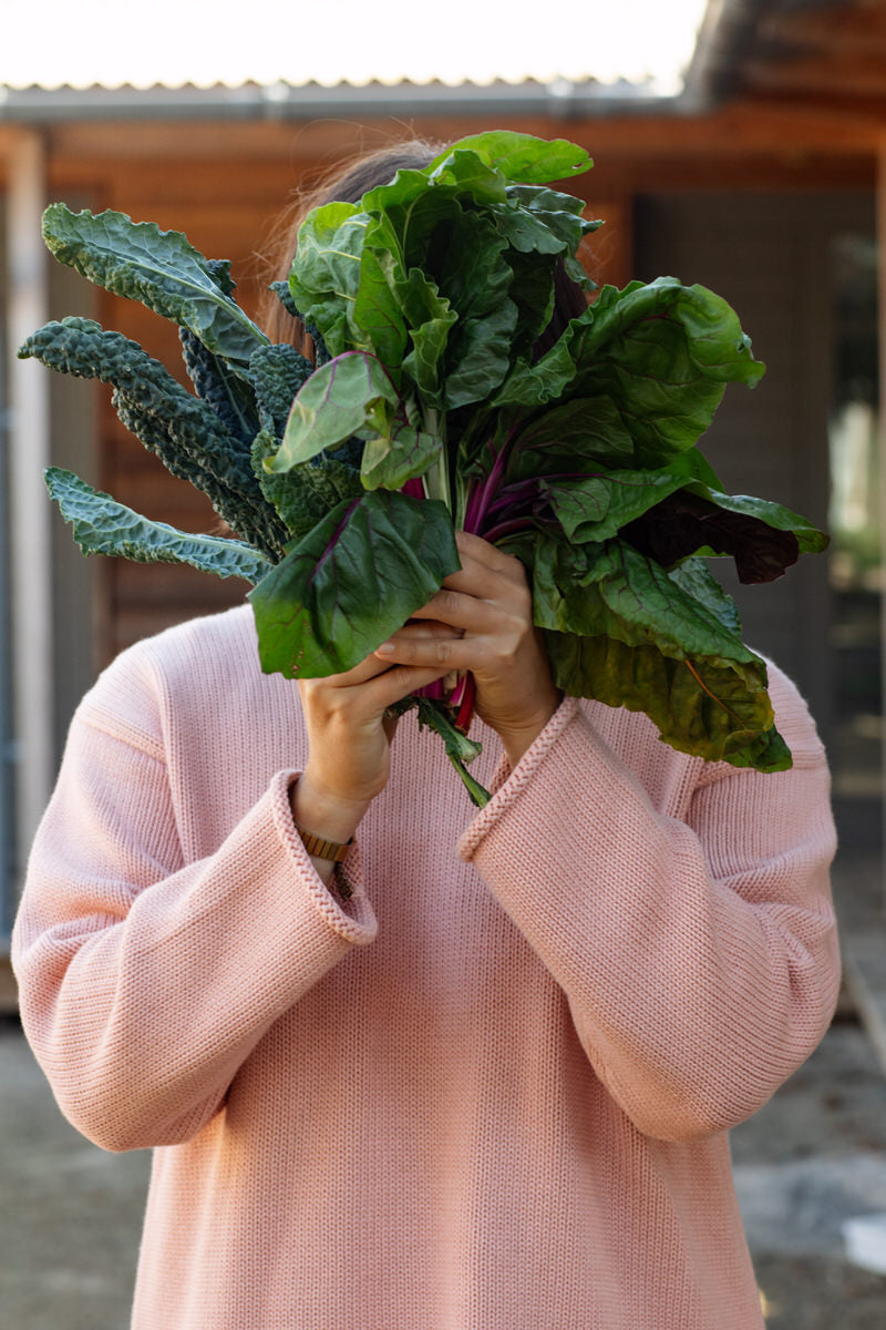 Fisherwoman's Jumper 2.0 - Piglet